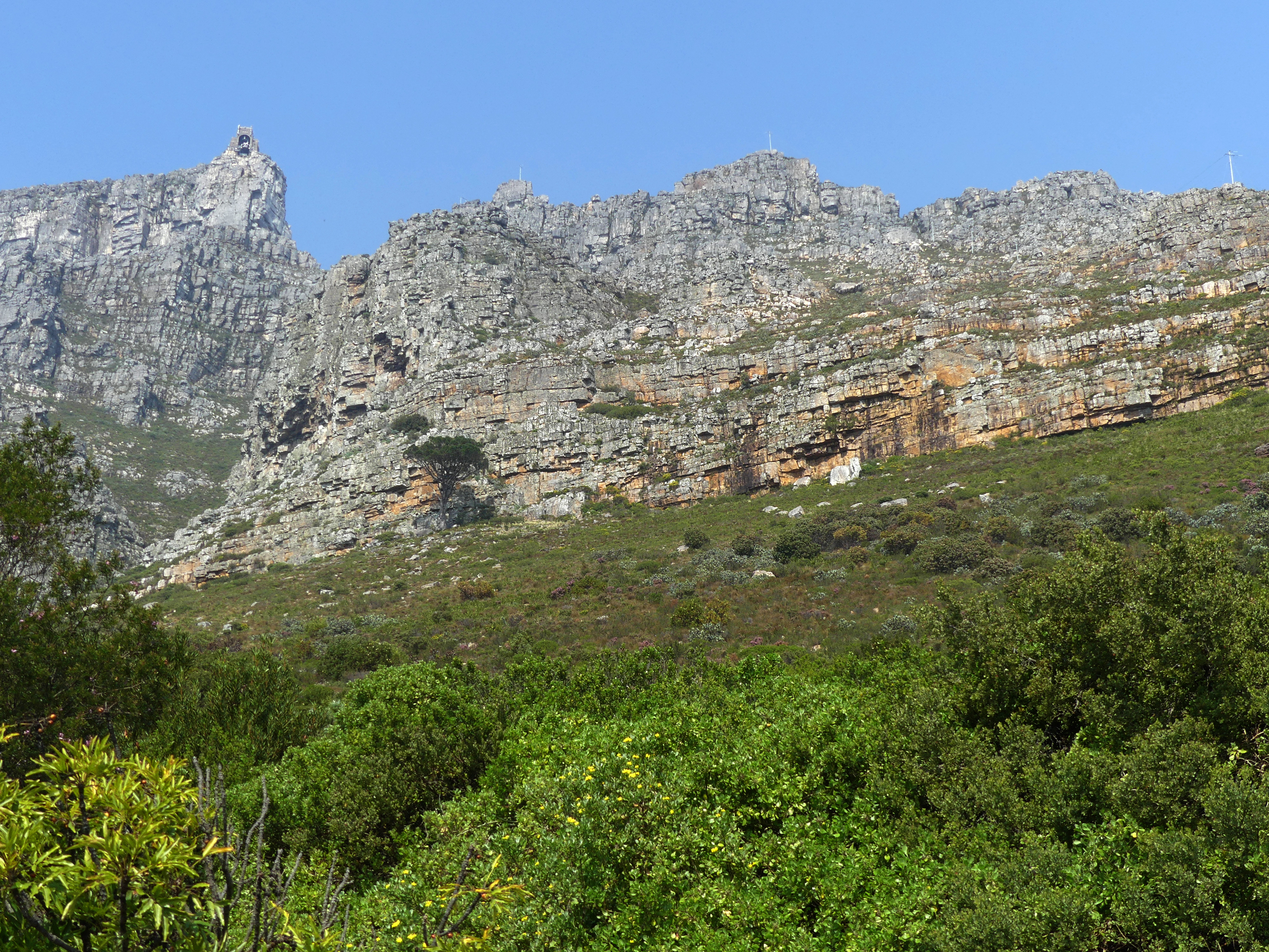 Table Mountain tram